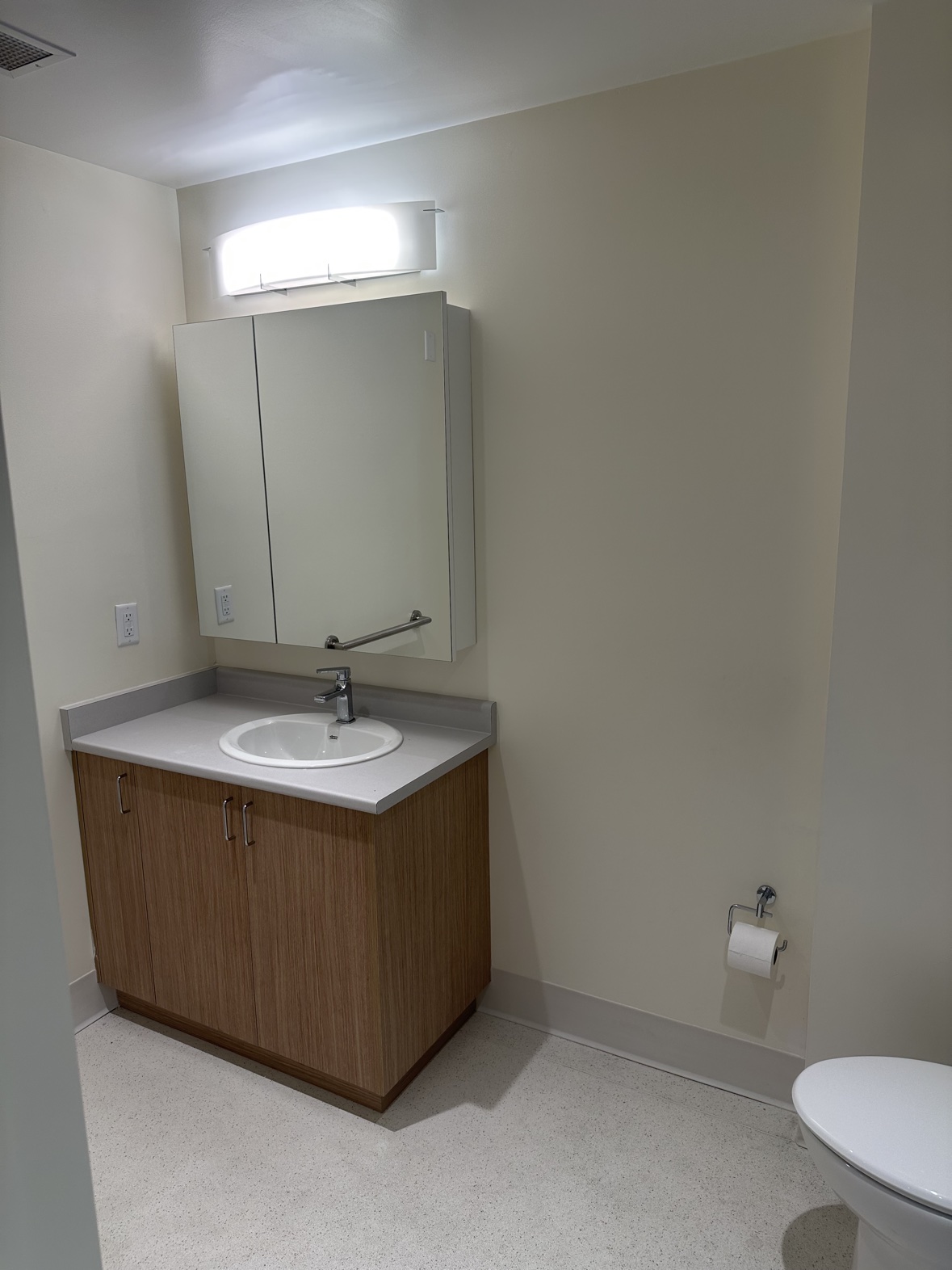 Bathroom walls painted in a warm neutral finish in Victoria, BC