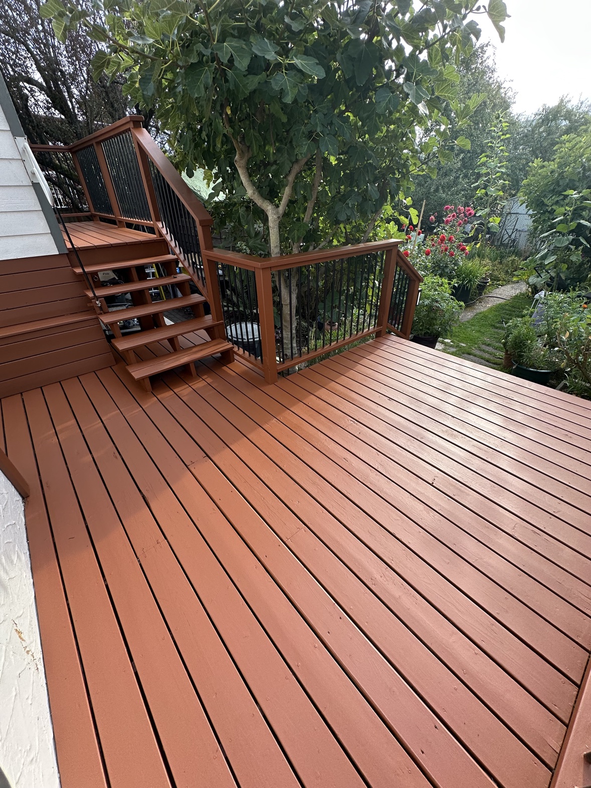Stained deck and railings overlooking a garden in Victoria, BC