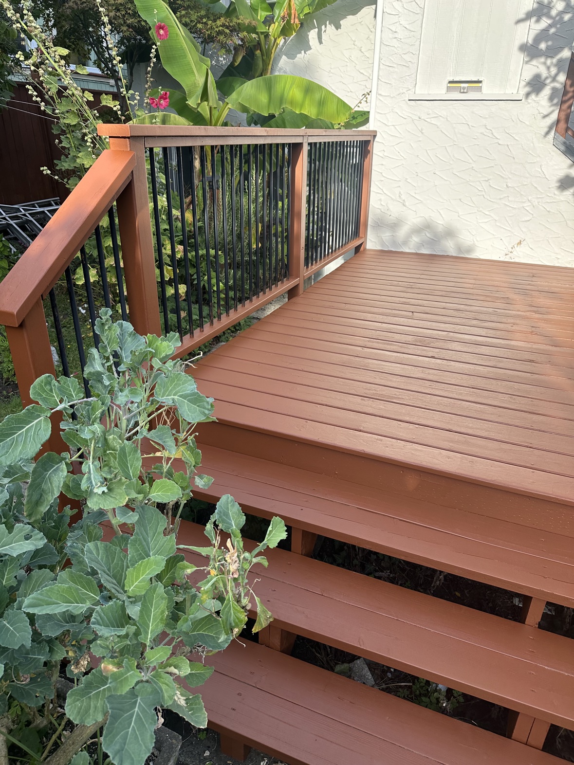 Deck staining on steps and railings in Victoria, BC