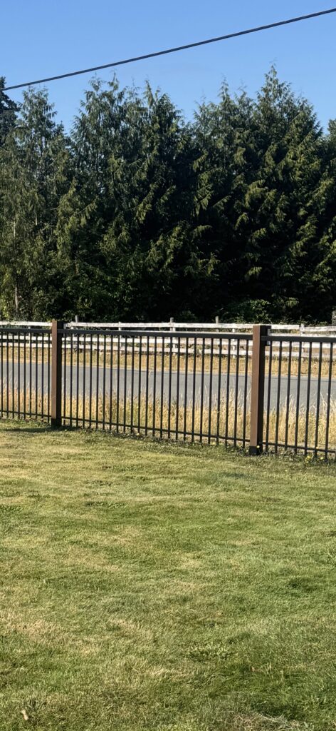 Fence painting black metal fence victoria by Rebirth Painting Ltd. in Victoria, BC