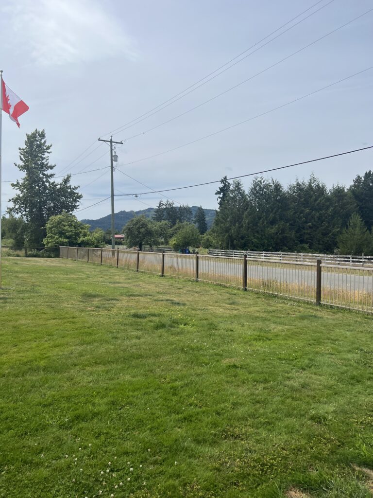 Fence painting metal rail fence victoria bc by Rebirth Painting Ltd. in Victoria, BC