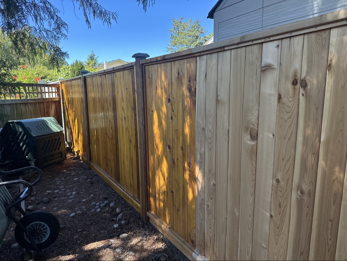 Long cedar fence with a fresh stain finish in Victoria, BC