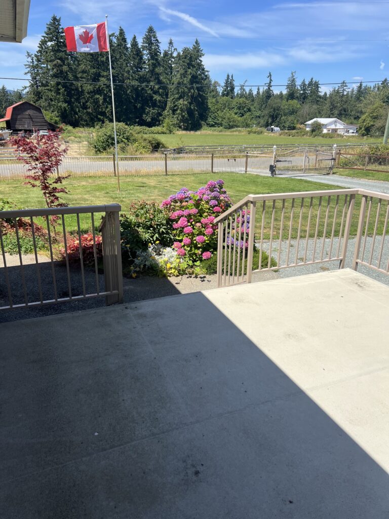 House patio painting flowers victoria bc by Rebirth Painting Ltd. in Victoria, BC
