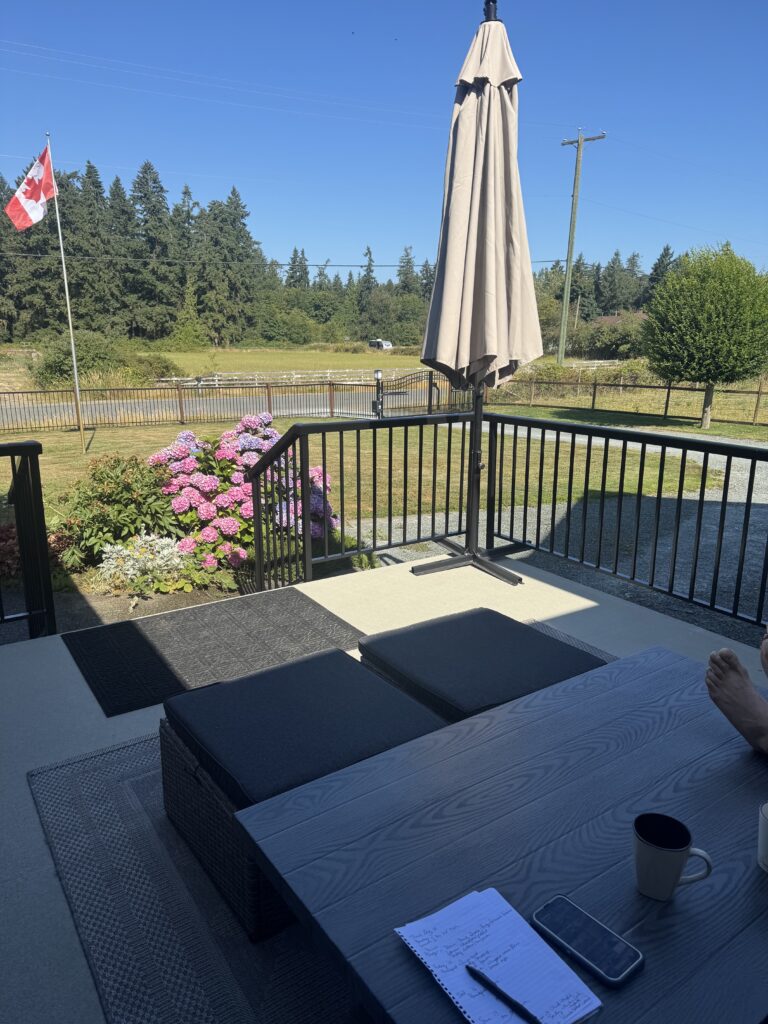 House patio painting umbrella garden victoria by Rebirth Painting Ltd. in Victoria, BC