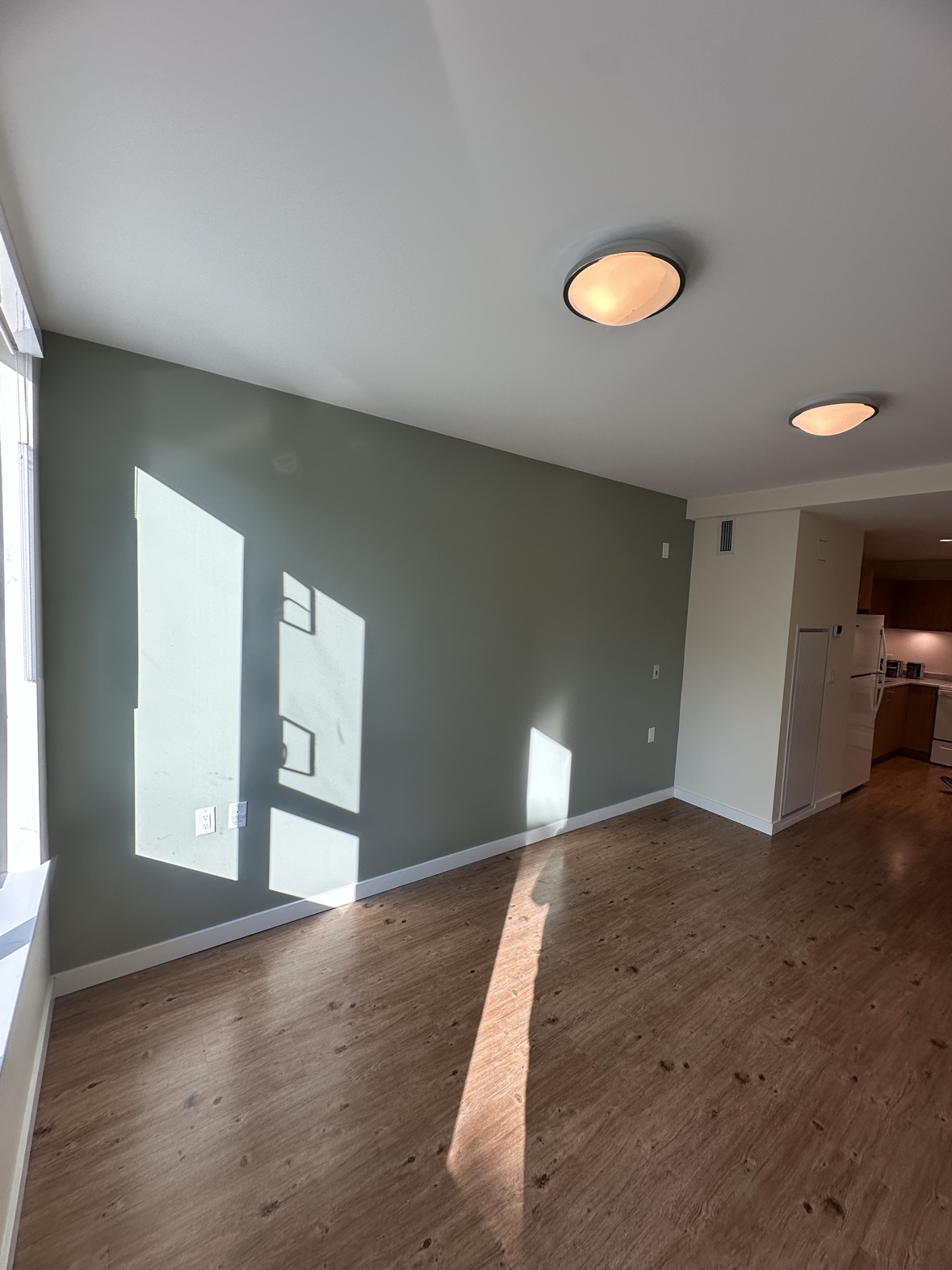 Interior painting of a living room with a sage accent wall and wood flooring in Victoria, BC