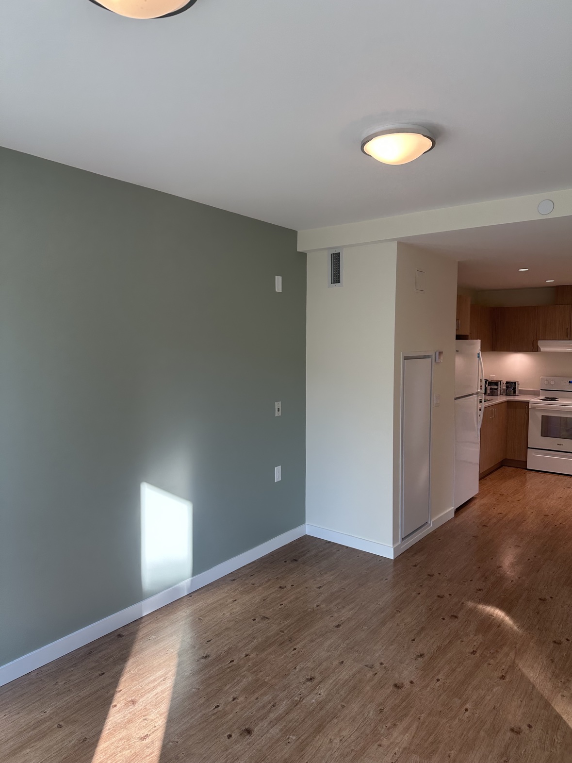 Living room interior painting with a sage green accent wall in Victoria, BC